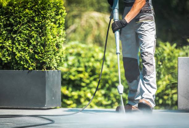 Best Graffiti Removal  in Alamosa, CO