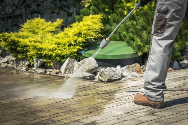 Best Concrete Sealing  in Alamosa, CO