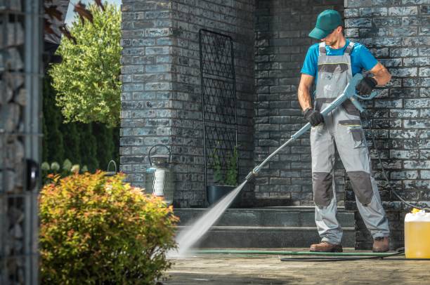 Animal Enclosure Cleaning in Alamosa, CO