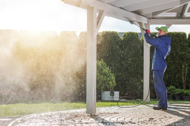 Best Rust Removal  in Alamosa, CO